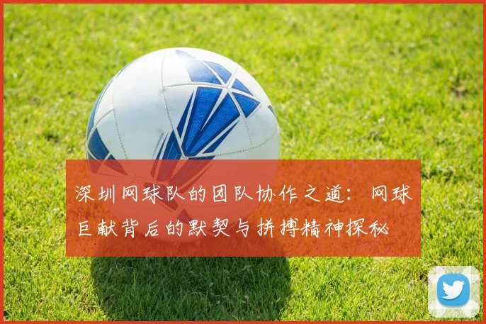 深圳网球队的团队协作之道：网球巨献背后的默契与拼搏精神探秘