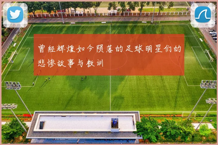 曾经辉煌如今陨落的足球明星们的悲惨故事与教训