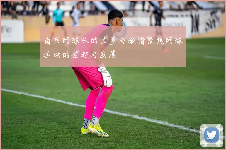 南京网球队的力量与激情聚焦网球运动的崛起与发展