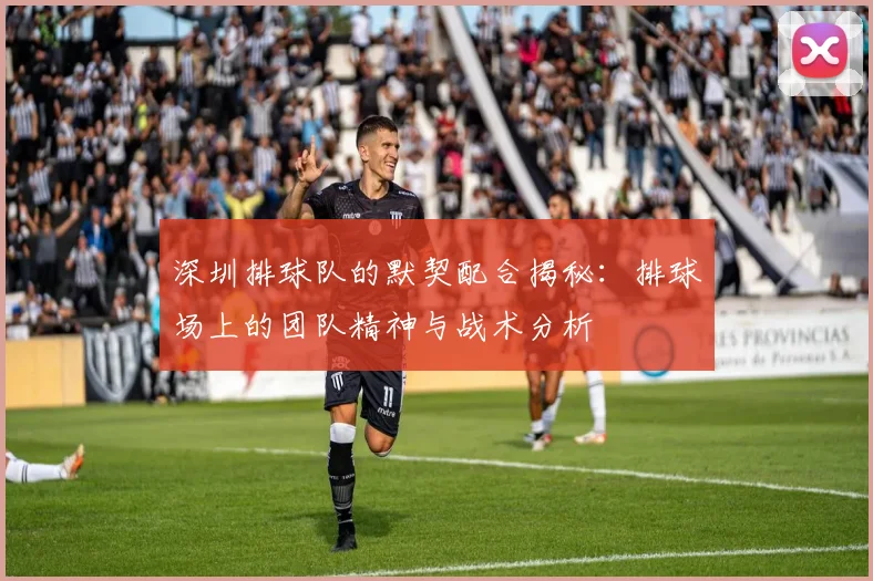 深圳排球队的默契配合揭秘：排球场上的团队精神与战术分析