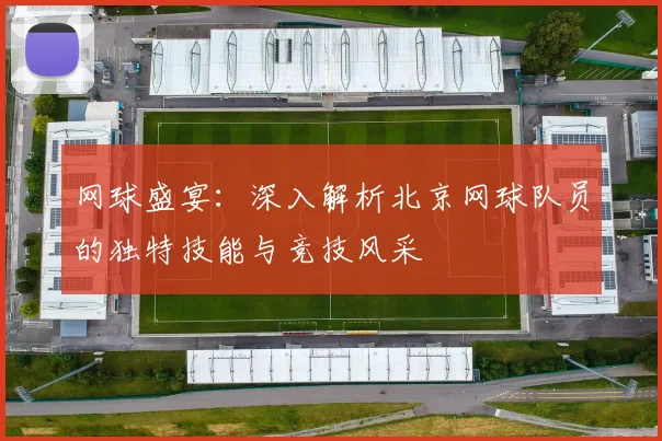 网球盛宴：深入解析北京网球队员的独特技能与竞技风采