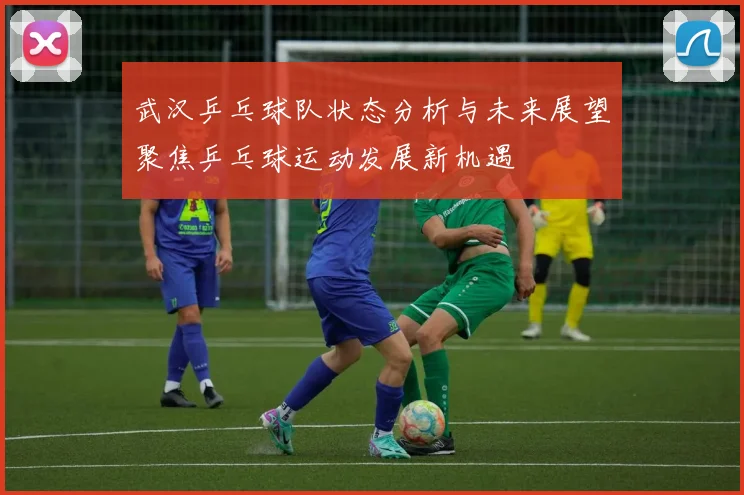 武汉乒乓球队状态分析与未来展望聚焦乒乓球运动发展新机遇