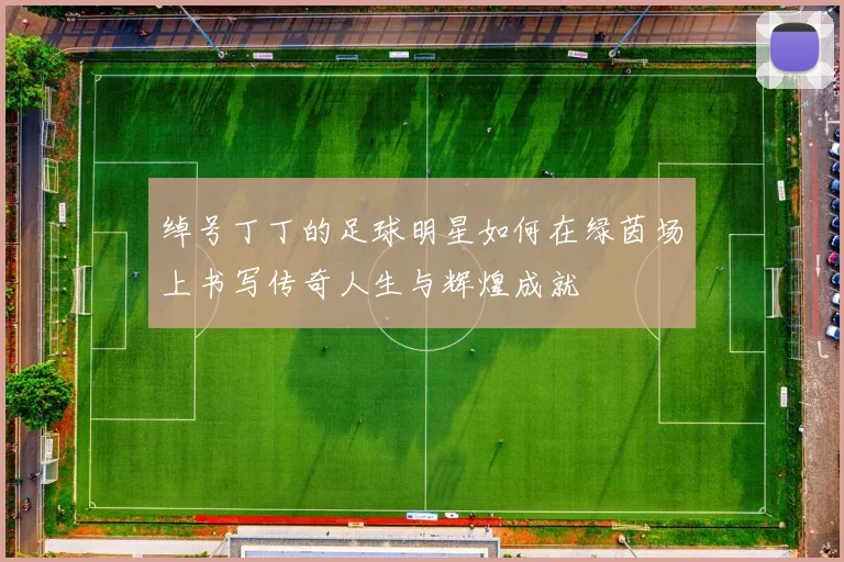 绰号丁丁的足球明星如何在绿茵场上书写传奇人生与辉煌成就