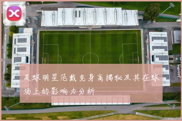 足球明星范戴克身高揭秘及其在球场上的影响力分析