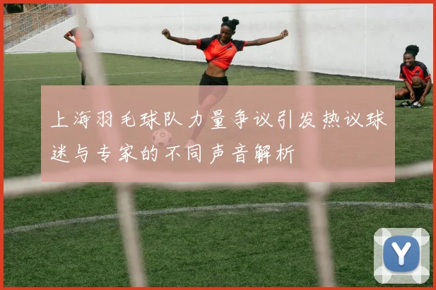 上海羽毛球队力量争议引发热议球迷与专家的不同声音解析