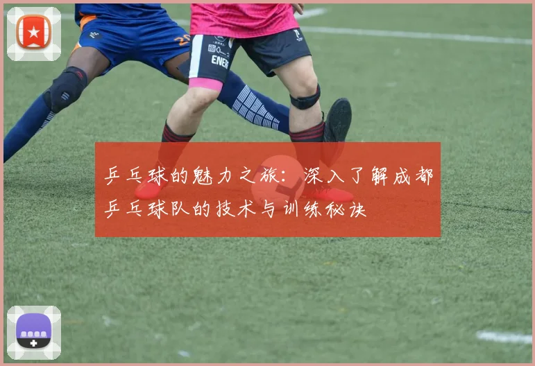 乒乓球的魅力之旅：深入了解成都乒乓球队的技术与训练秘诀