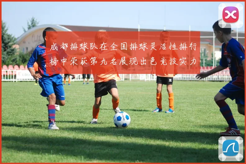 成都排球队在全国排球灵活性排行榜中荣获第九名展现出色竞技实力与团队协作